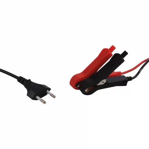 1852 Smartlader 10A 12/24V auto