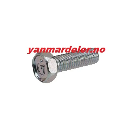 SHEAR BOLT SET 6X20 (Brytepinne)