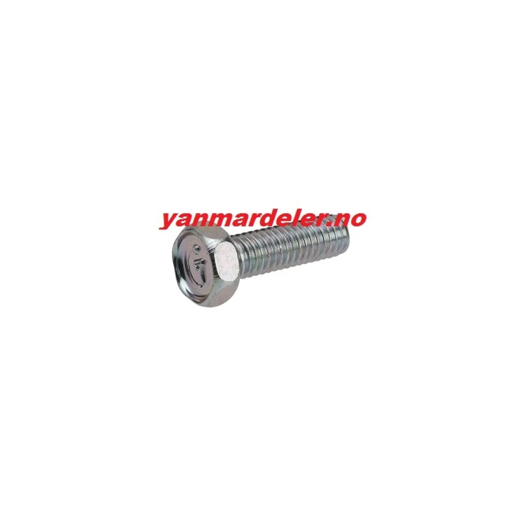 SHEAR BOLT SET 6X20 (Brytepinne)