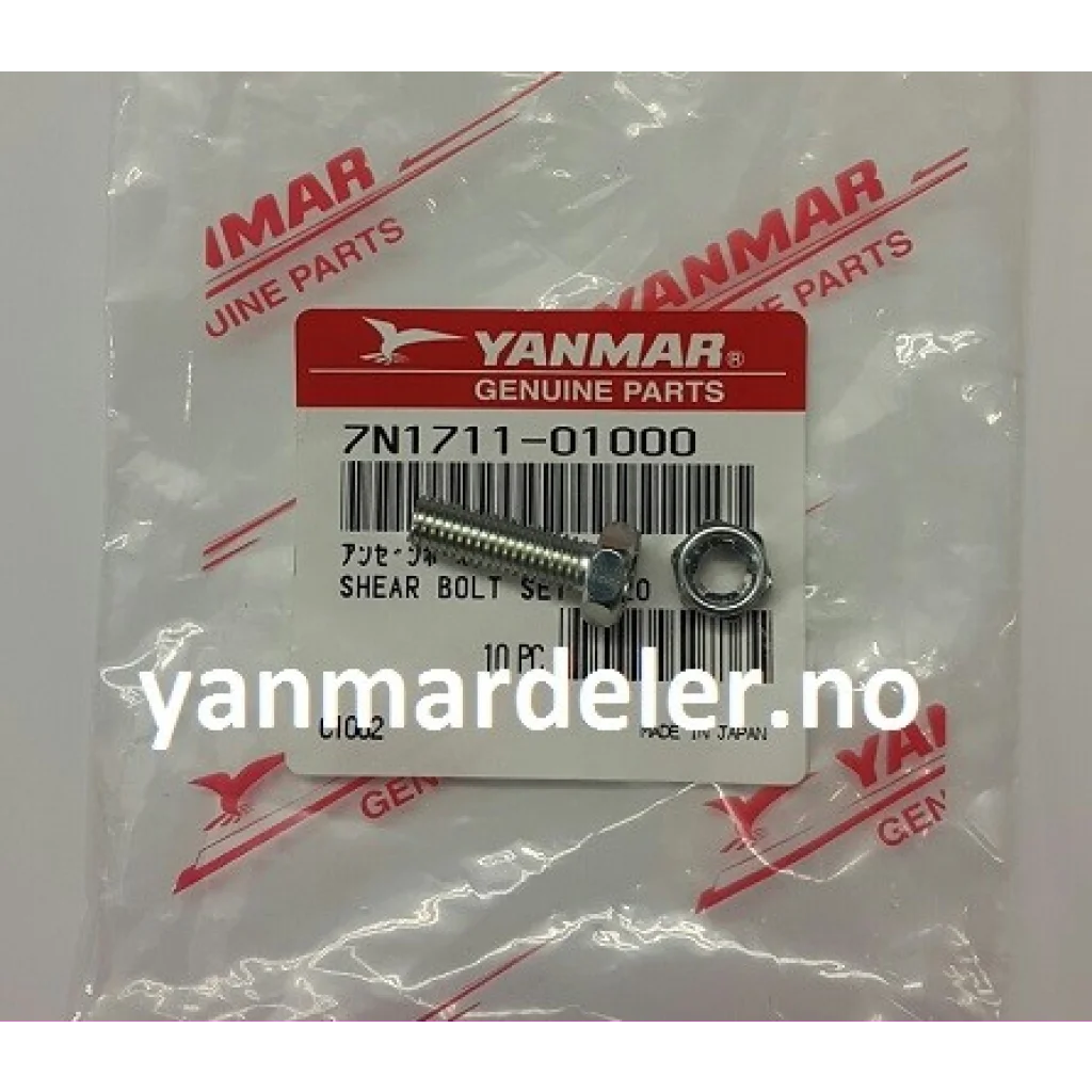 SHEAR BOLT SET 6X20 (Brytepinne)
