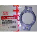gasket-cover