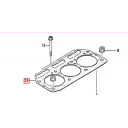 gasket-head