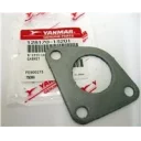 gasket-exhaust