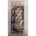 gasket-head