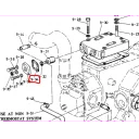 packing-flange