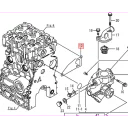 gasket-water-pump