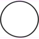 pakning-o-ring-til-sjovannsfilter-1007485-87