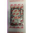gasket-head