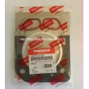 gasket-head