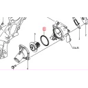 gasket-thermostat