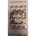 gasket-head