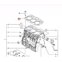 gasket-head