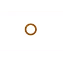 gasket-13x1.0
