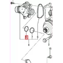 o-ring