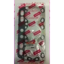 gasket-head