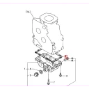 gasket-oil-pan