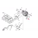 belt-alternator-6pk