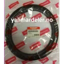 diaphragm-b