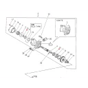 circlip