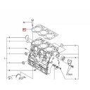 gasket-head
