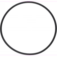 pakning-o-ring-til-sjovannsfilter-1007485-87
