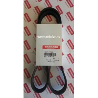 belt-alternator-6pk