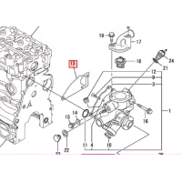 gasket-water-pump