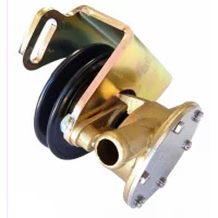 pump-assy-csw