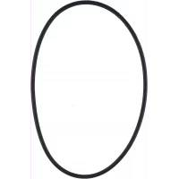 pakning-o-ring-til-sjovannsfilter-1007486-88